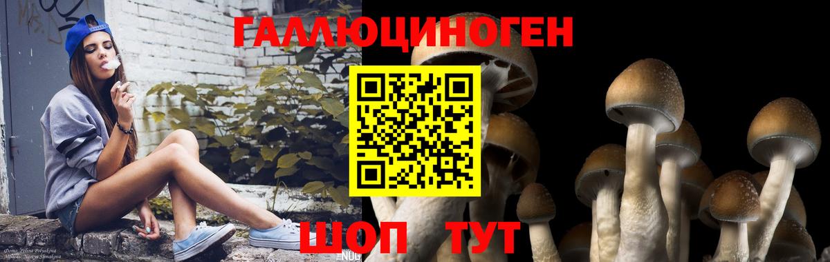 Галлюциногенные грибы ЛСД Зеленогорск