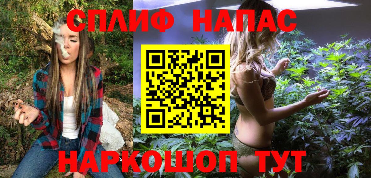 Канабис ГИДРОПОН Зеленогорск